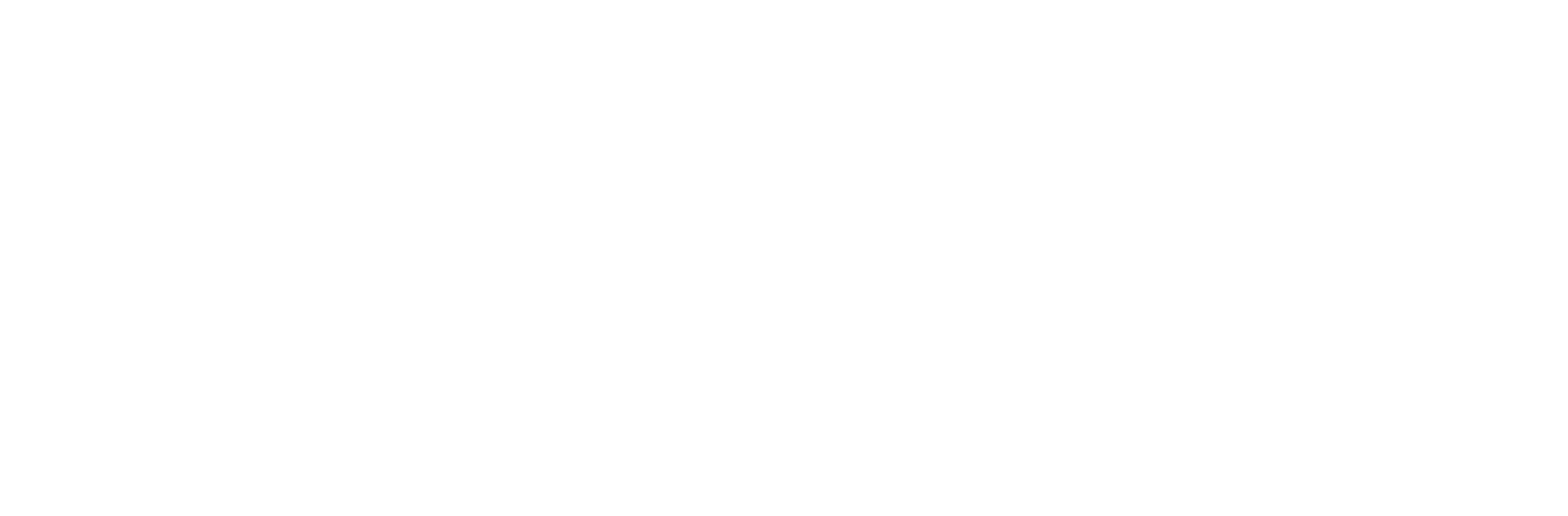 Google White Logo